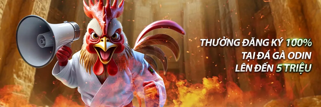 Hình ảnh chính của Blog AE888 trang chủ chính thức